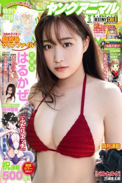 楠木灯